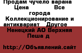 Продам чучело варана › Цена ­ 15 000 - Все города Коллекционирование и антиквариат » Другое   . Ненецкий АО,Верхняя Пеша д.